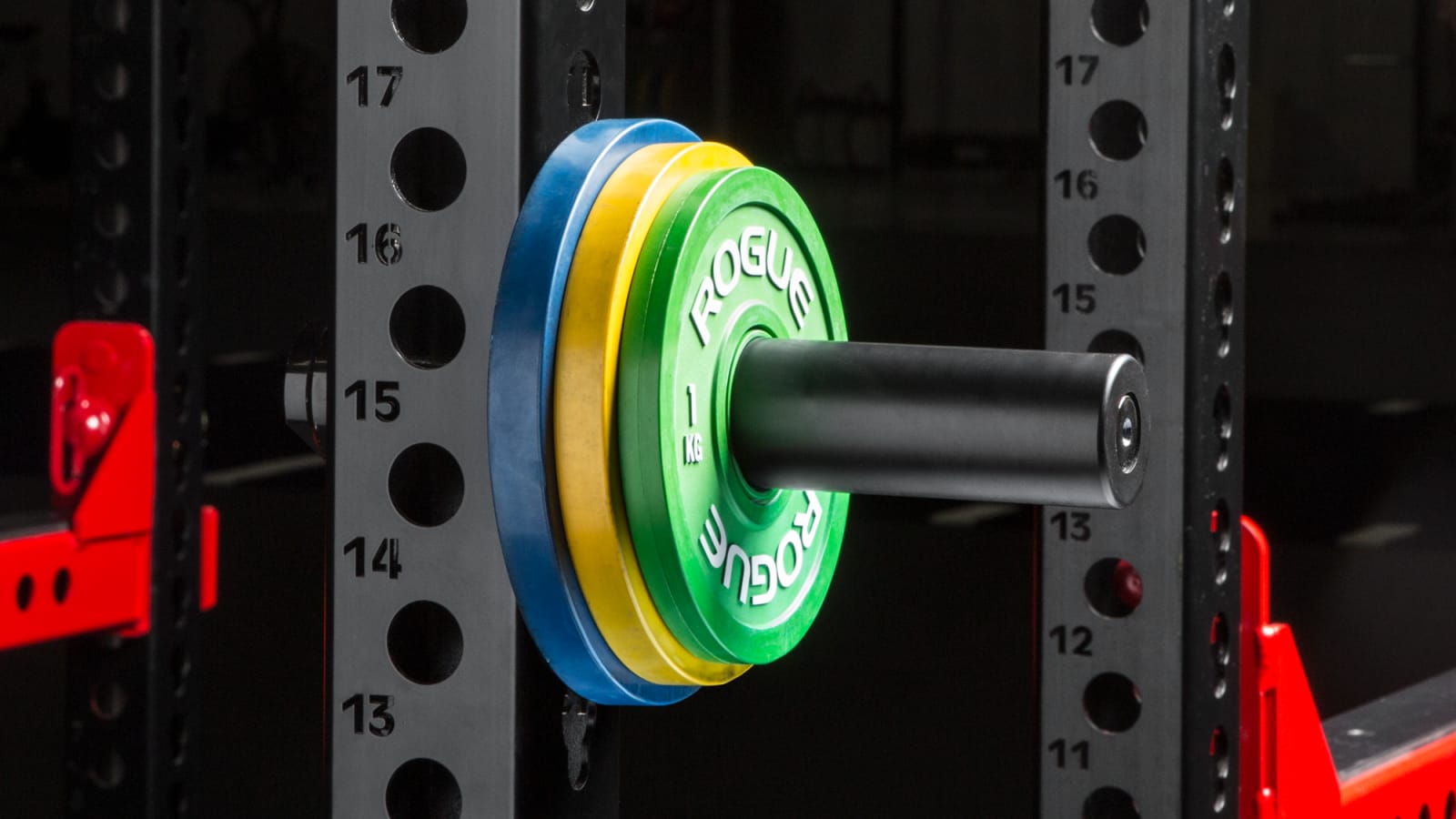 Rogue monster plate storage pin 2025